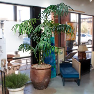 Faux Potted Tree 