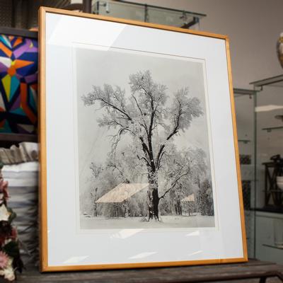 Ansel Adams 