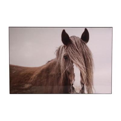 Horse Photograph Print