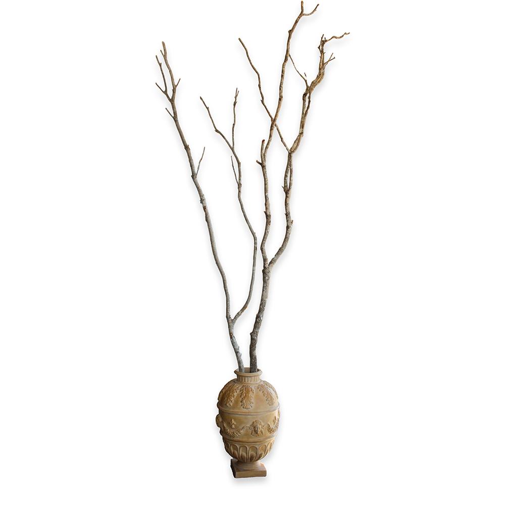  Greek Motif Vase With Branches