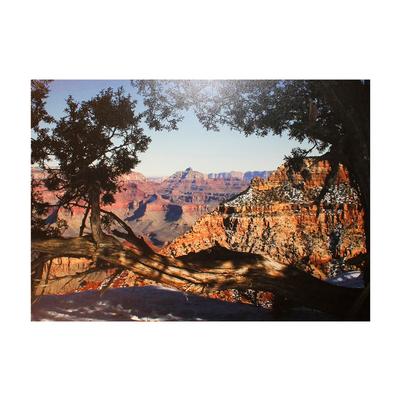  Grand Canyon Photo Canvas Print