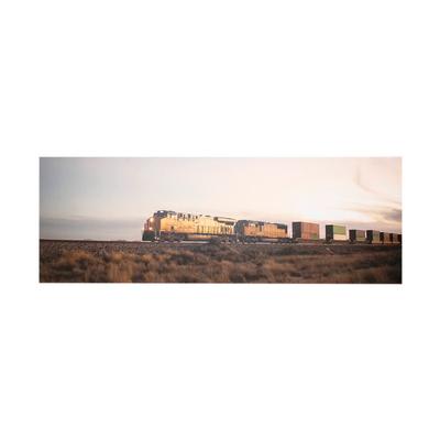 Train in the Desert Canvas Print