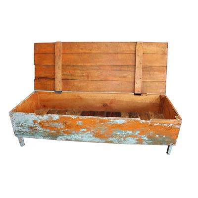 Painted Mexican Mennonite Trunk 