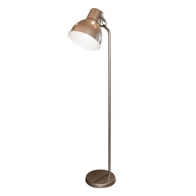 Bronze Look Spotlight Floor Lamp