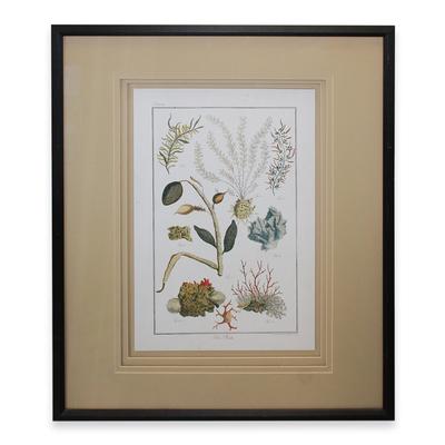 Shadow Frame Botanical Art Prints