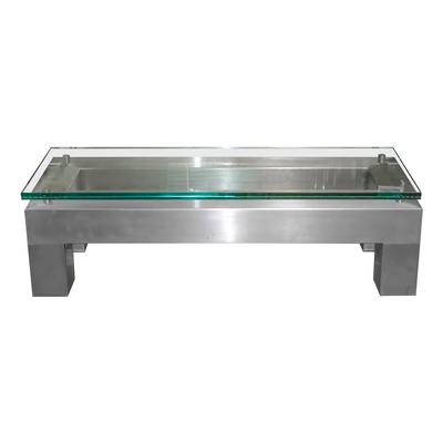 Nordstrom Brushed Steel and Glass Low Table