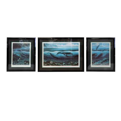Wyland Triptych Framed Art 