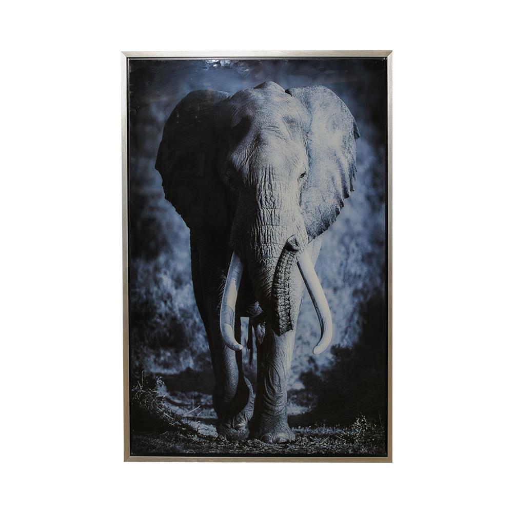  Elephant Image