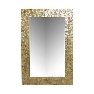 Gold Shell Framed Mirror