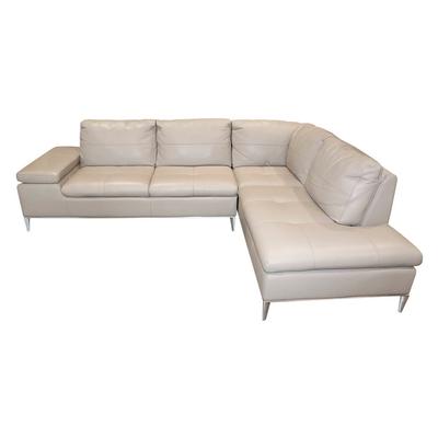 Jason Furniture Beige Leather sectional