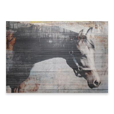 Horse Lines Print