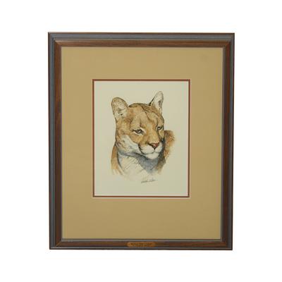 Watercolor Cougar