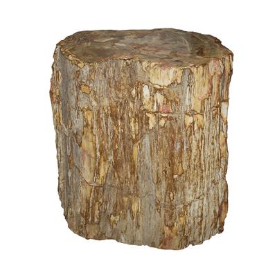 Petrified Wood Stump End Table