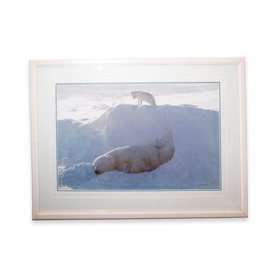 Mangelsen Signed Polar Bear Print